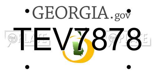 TEV7878 Georgia License Plate