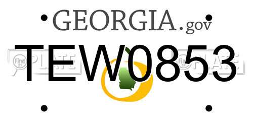 TEW0853 Georgia License Plate