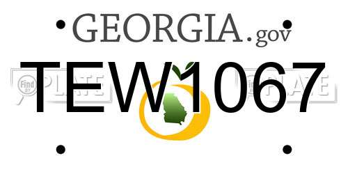 TEW1067 Georgia License Plate