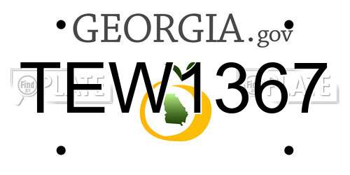 TEW1367 Georgia License Plate