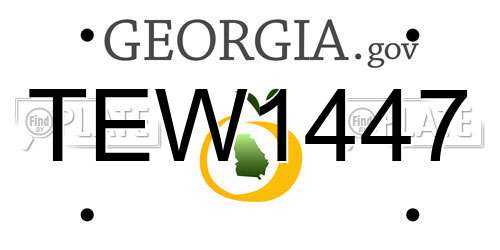 TEW1447 Georgia License Plate
