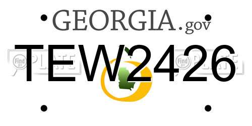 TEW2426 Georgia License Plate