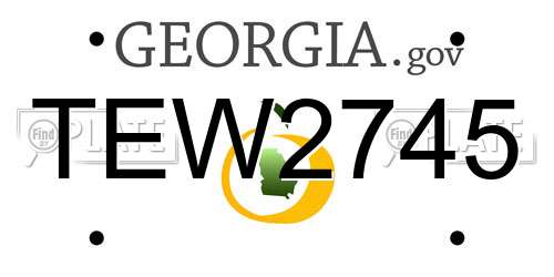 TEW2745 Georgia License Plate