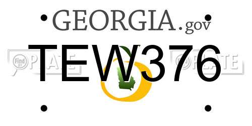 TEW376 Georgia License Plate