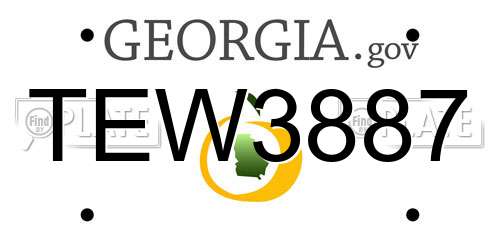 TEW3887 Georgia License Plate