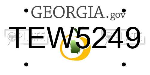 TEW5249 Georgia License Plate