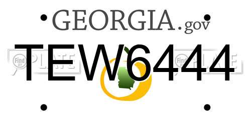 TEW6444 Georgia License Plate