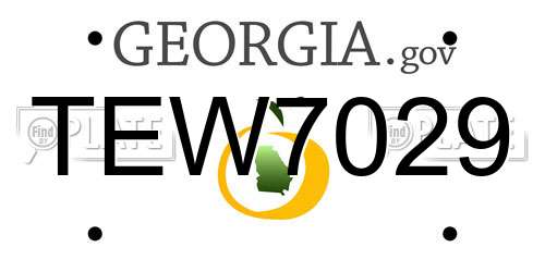 TEW7029 Georgia License Plate
