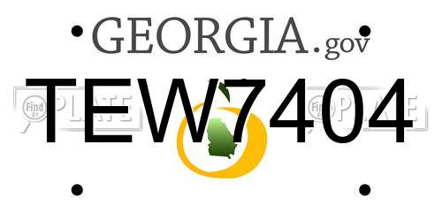 TEW7404 Georgia License Plate