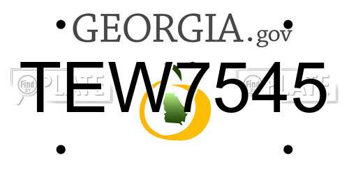 TEW7545 Georgia License Plate