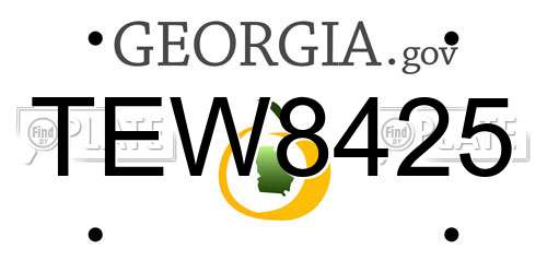 TEW8425 Georgia License Plate