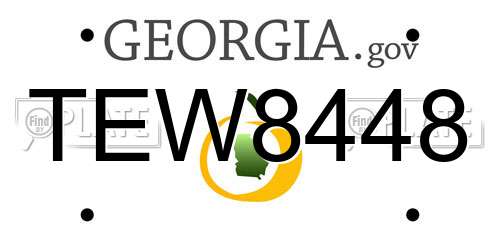 TEW8448 Georgia License Plate