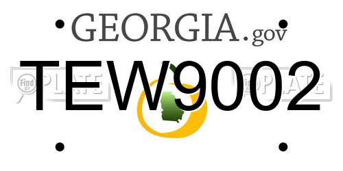TEW9002 Georgia License Plate