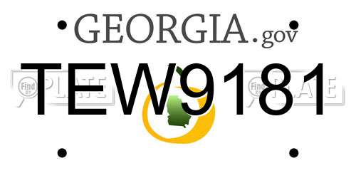 TEW9181 Georgia License Plate