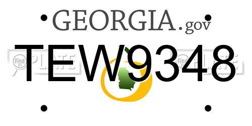 TEW9348 Georgia License Plate