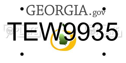 TEW9935 Georgia License Plate