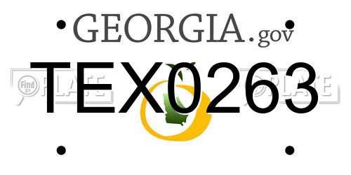 TEX0263 Georgia License Plate