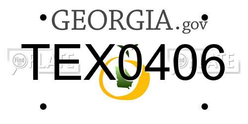 TEX0406 Georgia License Plate