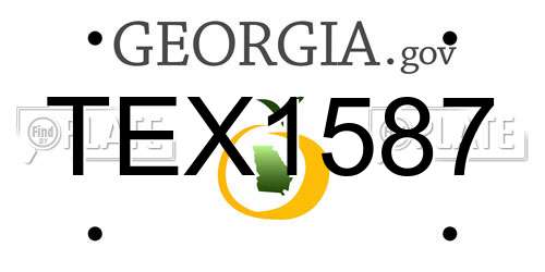 TEX1587 Georgia License Plate