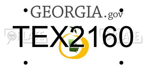 TEX2160 Georgia License Plate