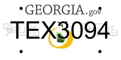 TEX3094 Georgia License Plate