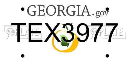 TEX3977 Georgia License Plate