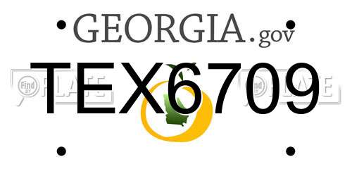 TEX6709 Georgia License Plate