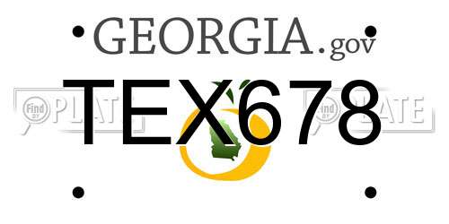 TEX678 Georgia License Plate