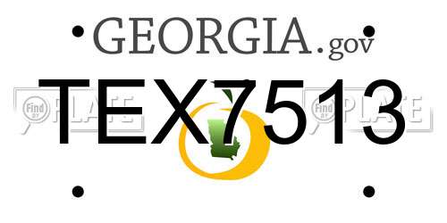 TEX7513 Georgia License Plate