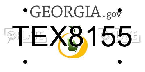 TEX8155 Georgia License Plate