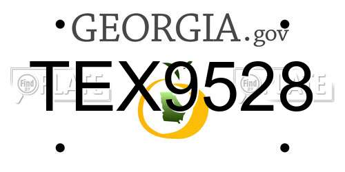 TEX9528 Georgia License Plate