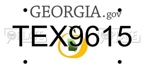 TEX9615 Georgia License Plate