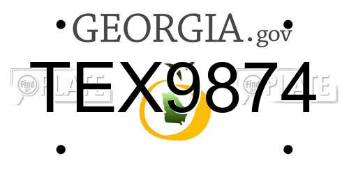 TEX9874 Georgia License Plate