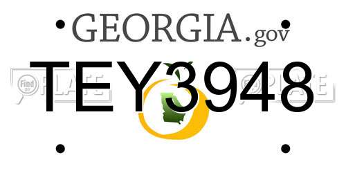 TEY3948 Georgia License Plate