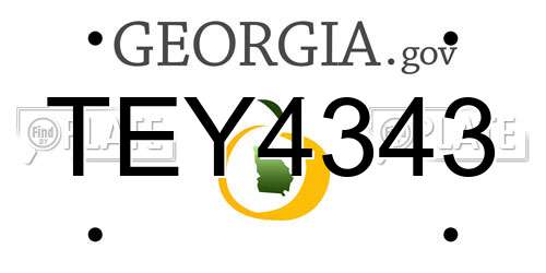 TEY4343 Georgia License Plate