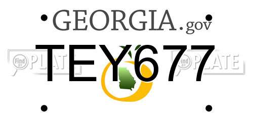 TEY677 Georgia License Plate
