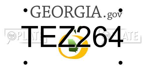 TEZ264 Georgia License Plate