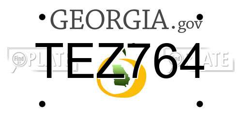 TEZ764 Georgia License Plate