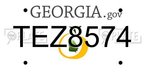 TEZ8574 Georgia License Plate