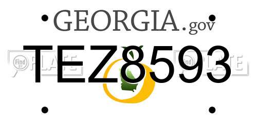 TEZ8593 Georgia License Plate