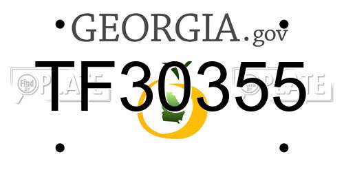TF30355 Georgia License Plate