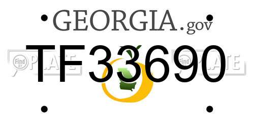 TF33690 Georgia License Plate
