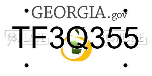 TF3Q355 Georgia License Plate