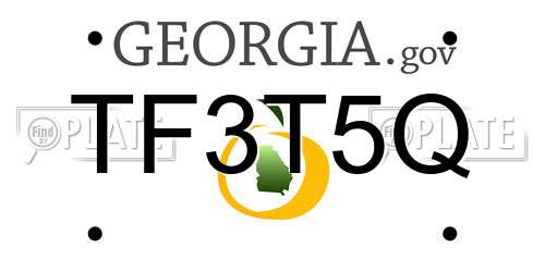 TF3T5Q Georgia License Plate