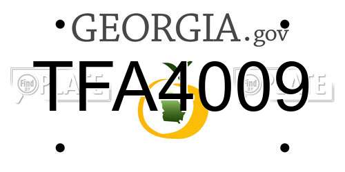 TFA4009 Georgia License Plate