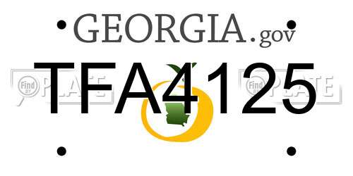 TFA4125 Georgia License Plate