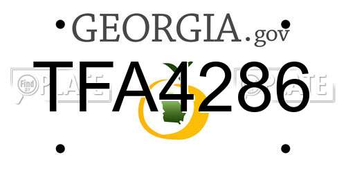 TFA4286 Georgia License Plate