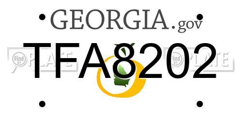 TFA8202 Georgia License Plate