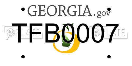 TFB0007 Georgia License Plate