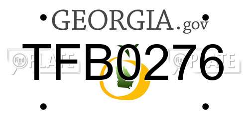 TFB0276 Georgia License Plate